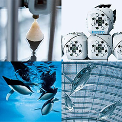 Бионическое будущее от Festo Бионическое будущее от Festo